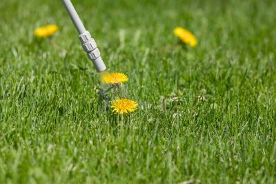 Lawn Herbicide Treatment